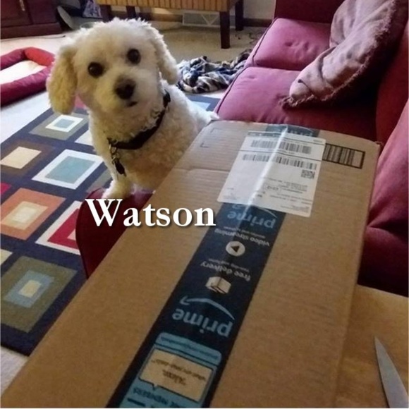 Meet your Posher. - Picture 2 of 7